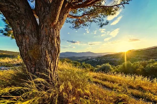 Fuga in Toscana: I Luoghi da Non Perdere