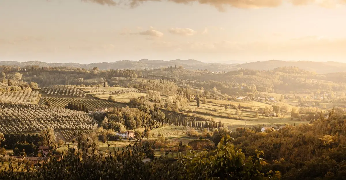 Tendenze di Evasione in Italia: Cosa Aspettarsi nel 2026